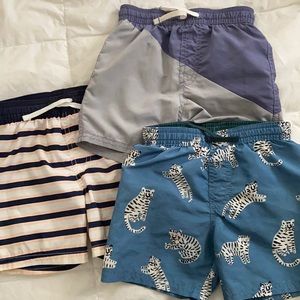 2T swim trunks